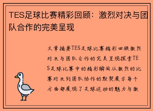 TES足球比赛精彩回顾：激烈对决与团队合作的完美呈现